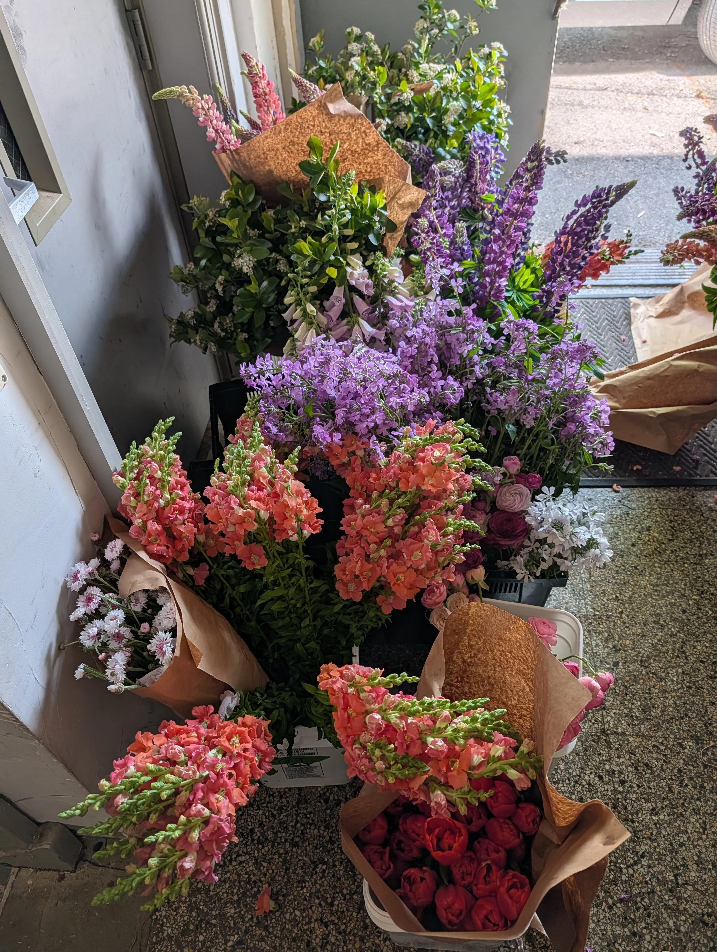  Lush collection of a variety of colorful, fluttery blooms and bold foliage 