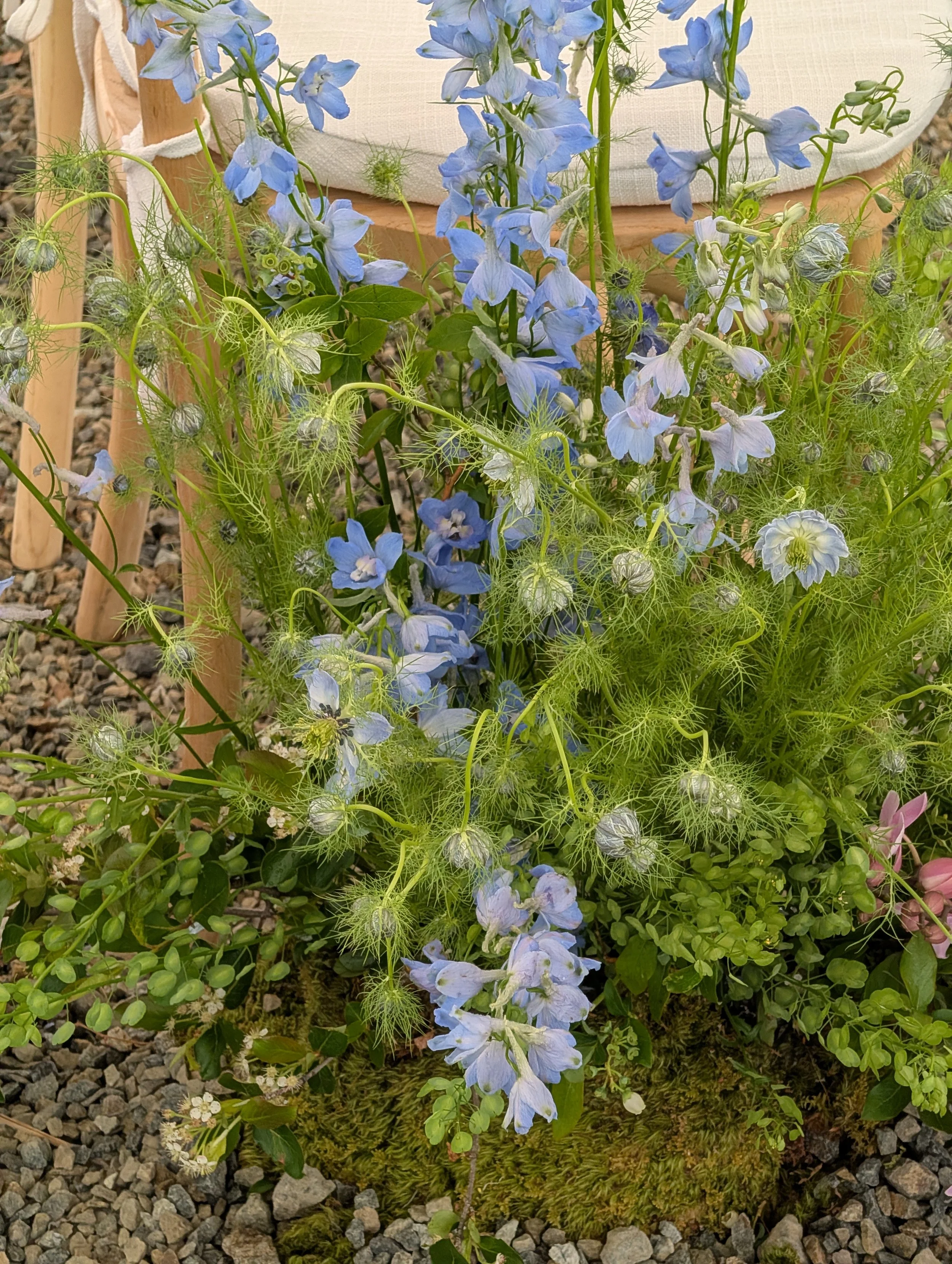  Meadow-inspired outdoor arrangement with playful blue blooms and delicate, thin foliage 