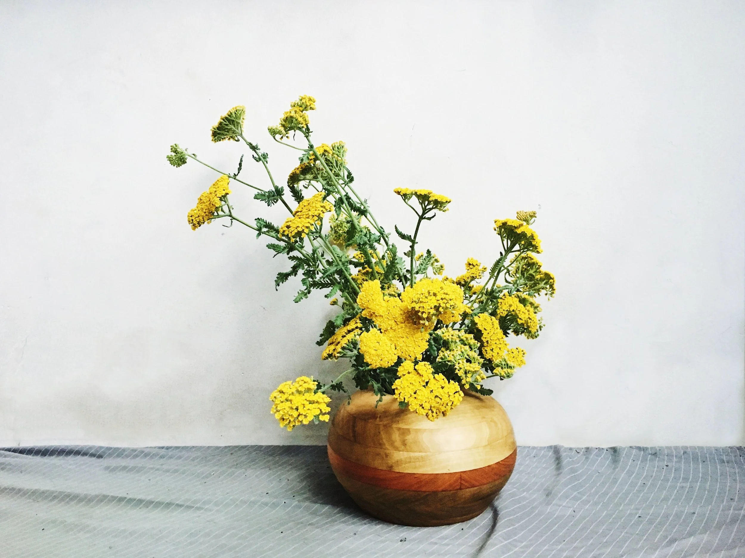  Modern wooden vase featuring vibrant collection of yellow yarrow blossoms  