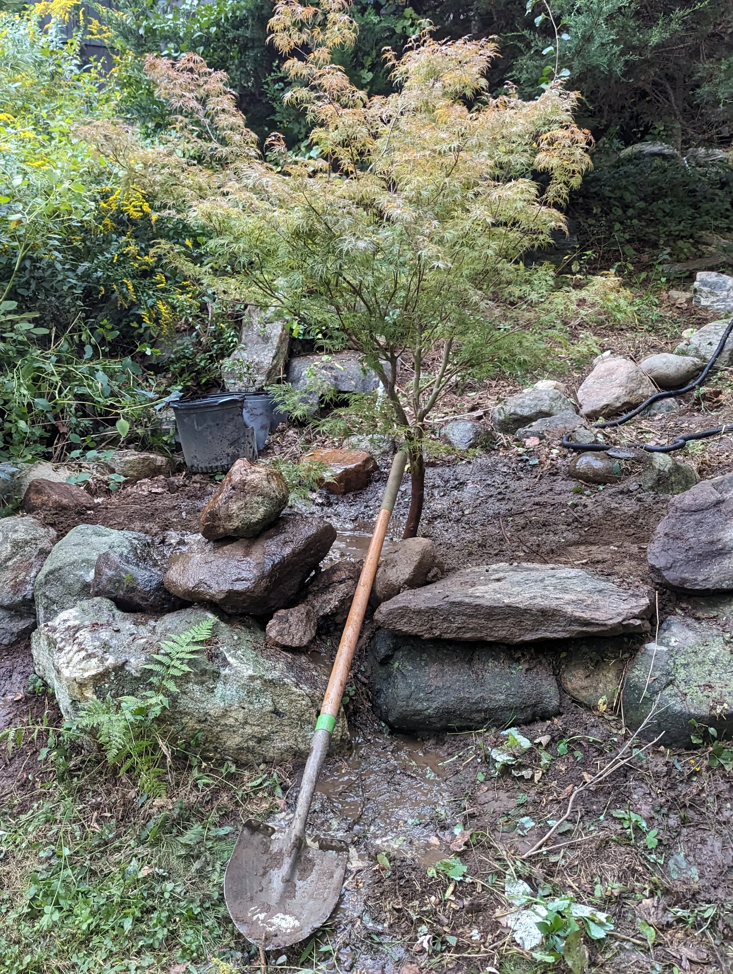 The Lazy Gardener’s Guide to Fall Planting