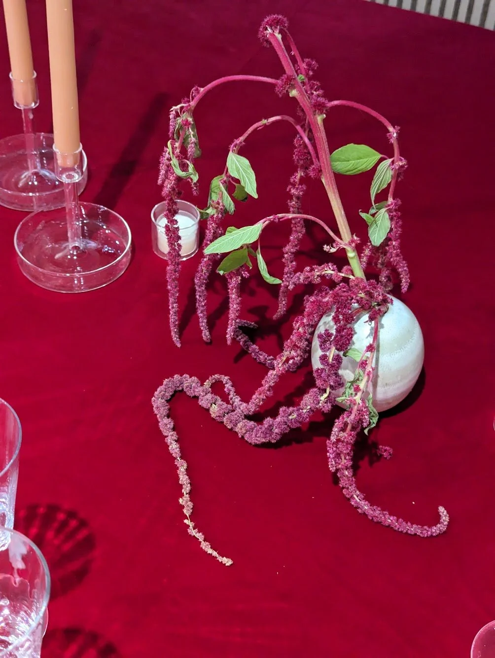  Whimsical Amaranthus blooms in rich, and vibrant burgundy in simple ceramic bud vase 