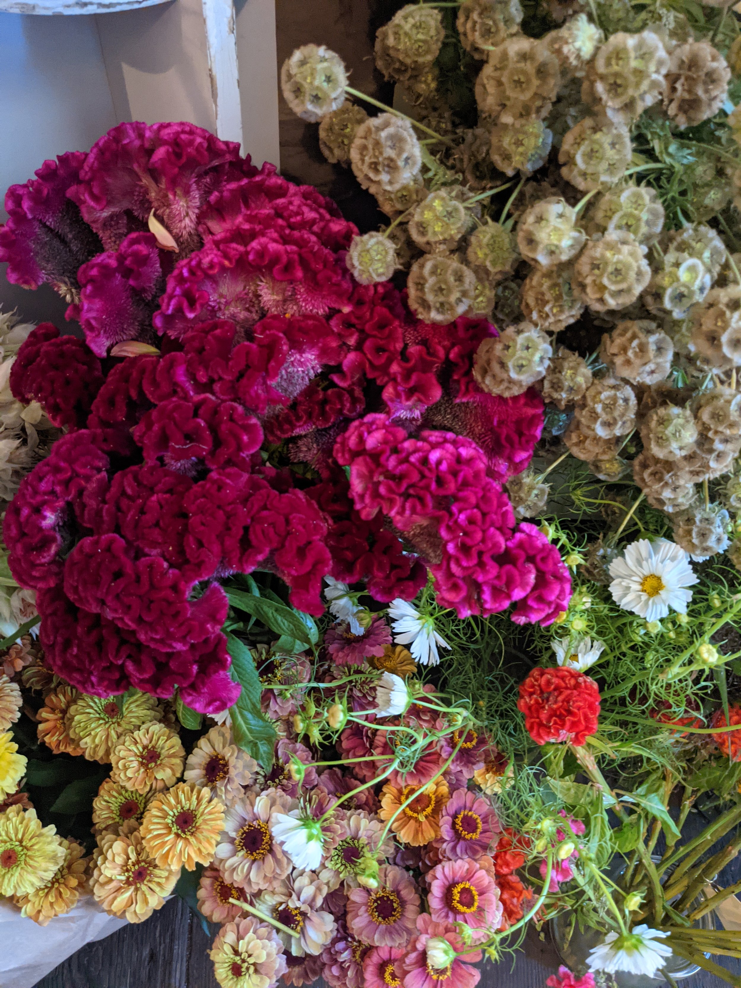  An array of different flora with a mix of vivid purple, white and pink blossoms 