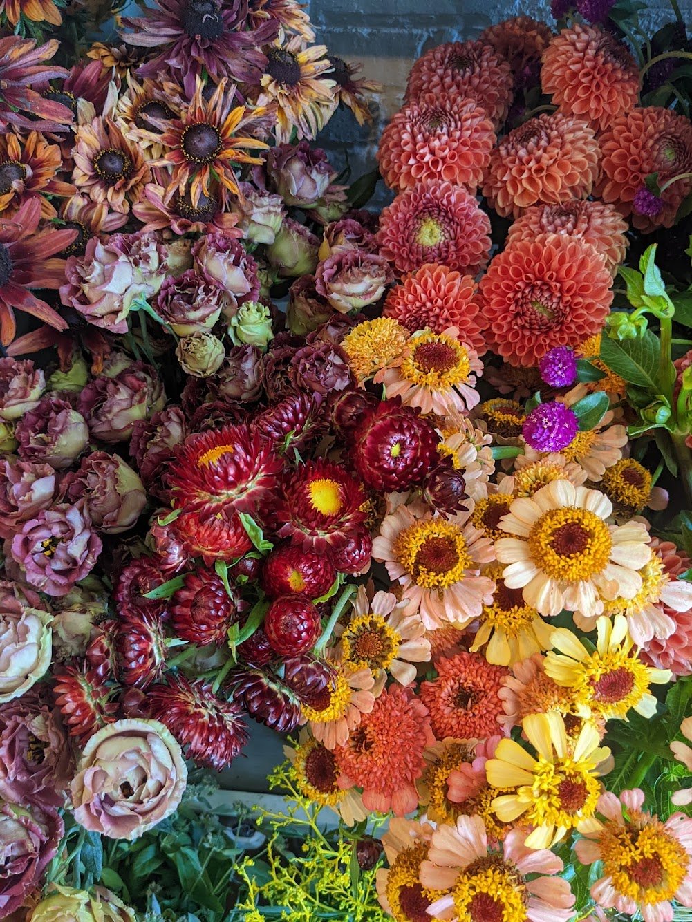  Tray of various textured and lush flowers of various warm tones 