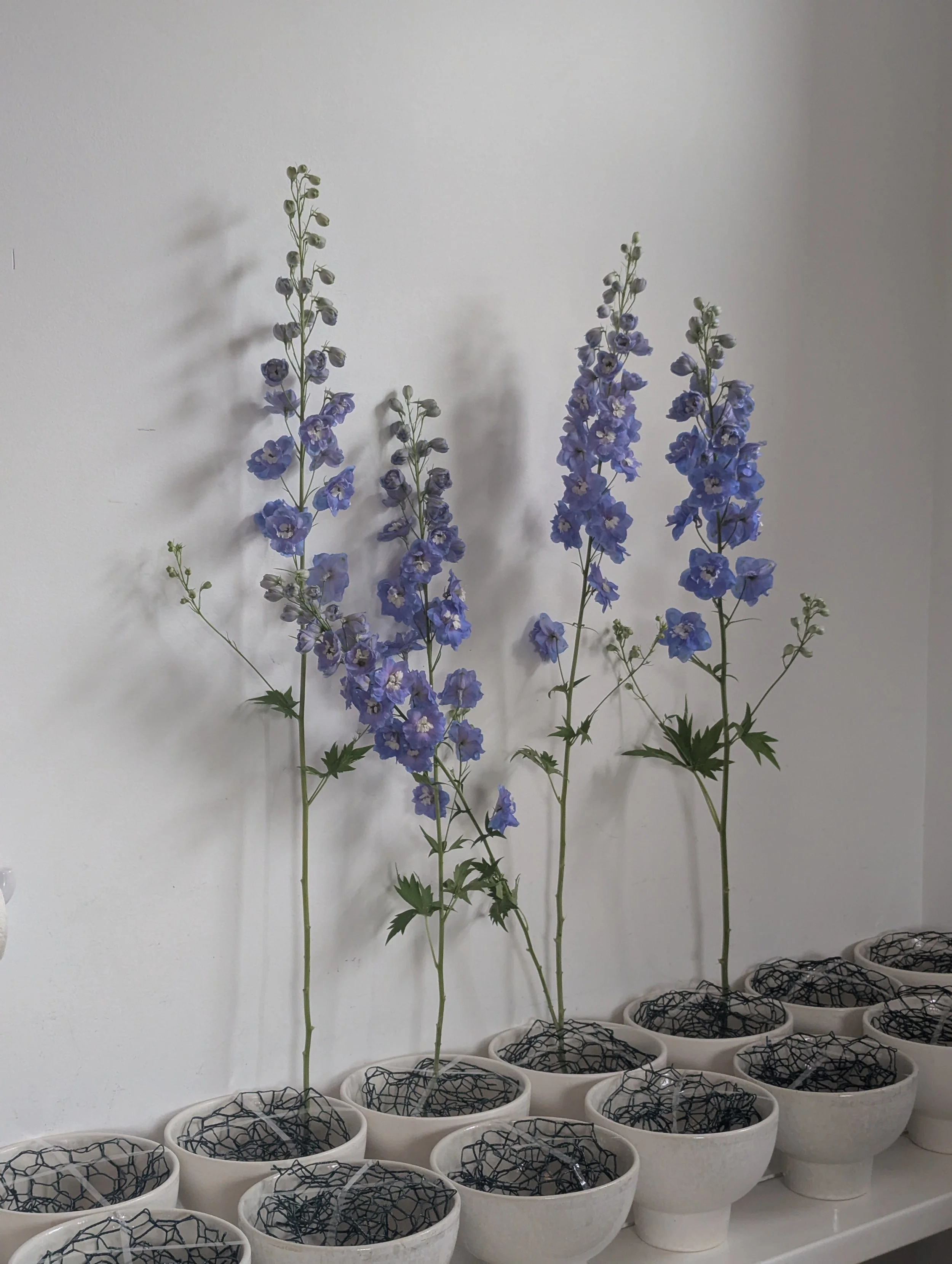  Tall, vibrant and dainty blooms being placed in ceramic bowls 