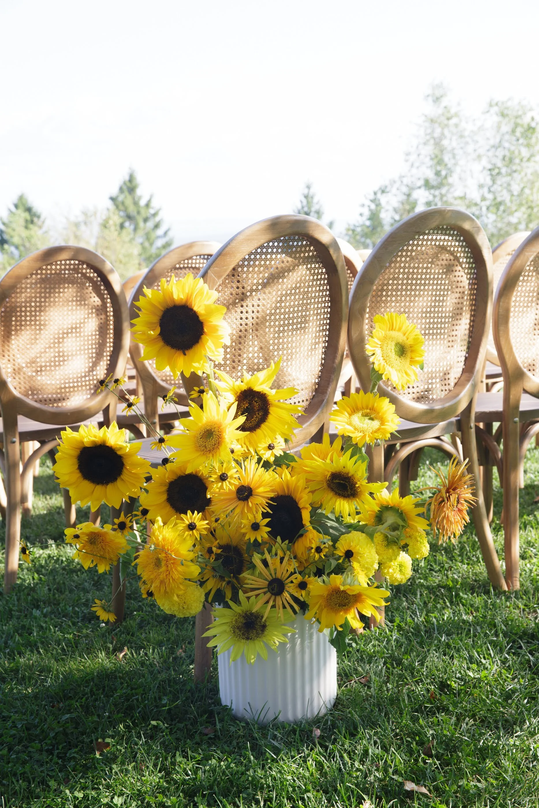  Sunlit floral arrangements with various dazzling yellow blooms 