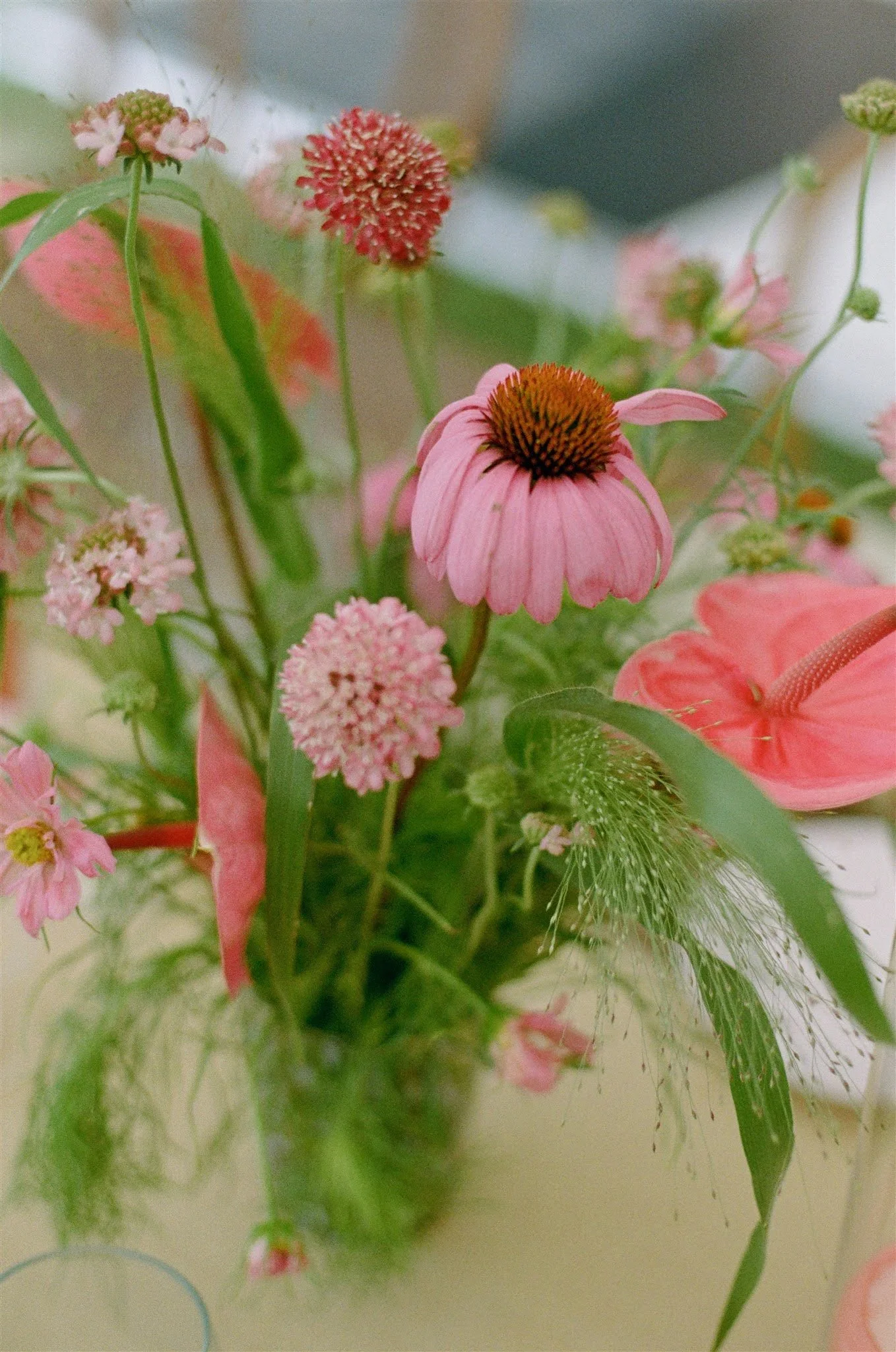  Bold bunch of soft pink flowers of various shapes and textures   