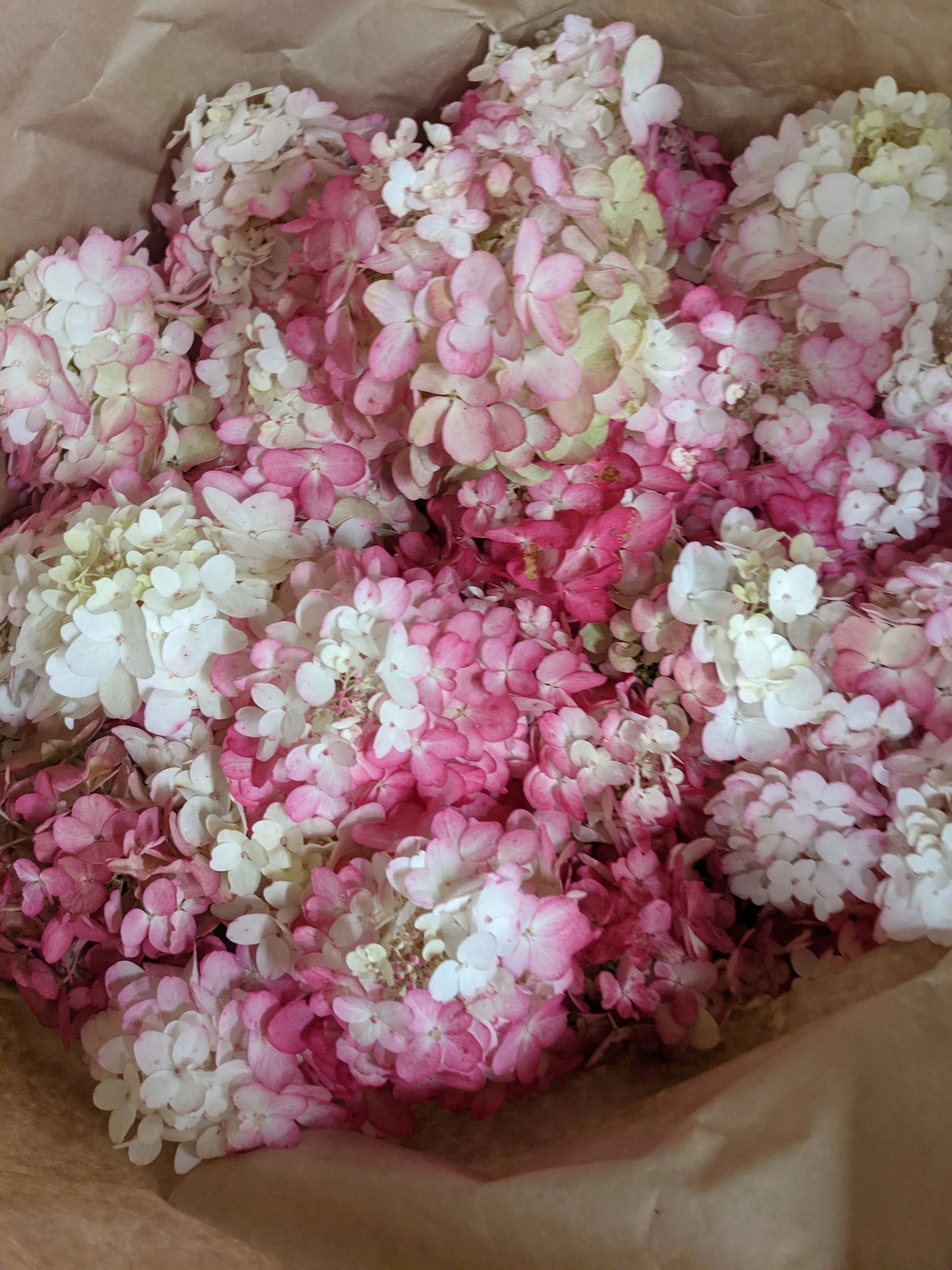  Paper wrapped blooms in pink to white ombre ready for a wedding arrangement  