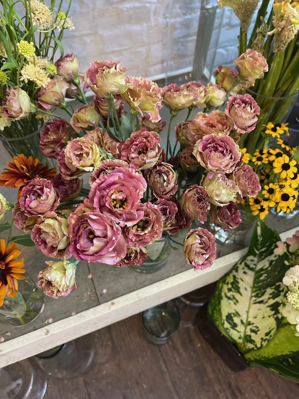  Flower bar lined with intimate and charming blossoms  