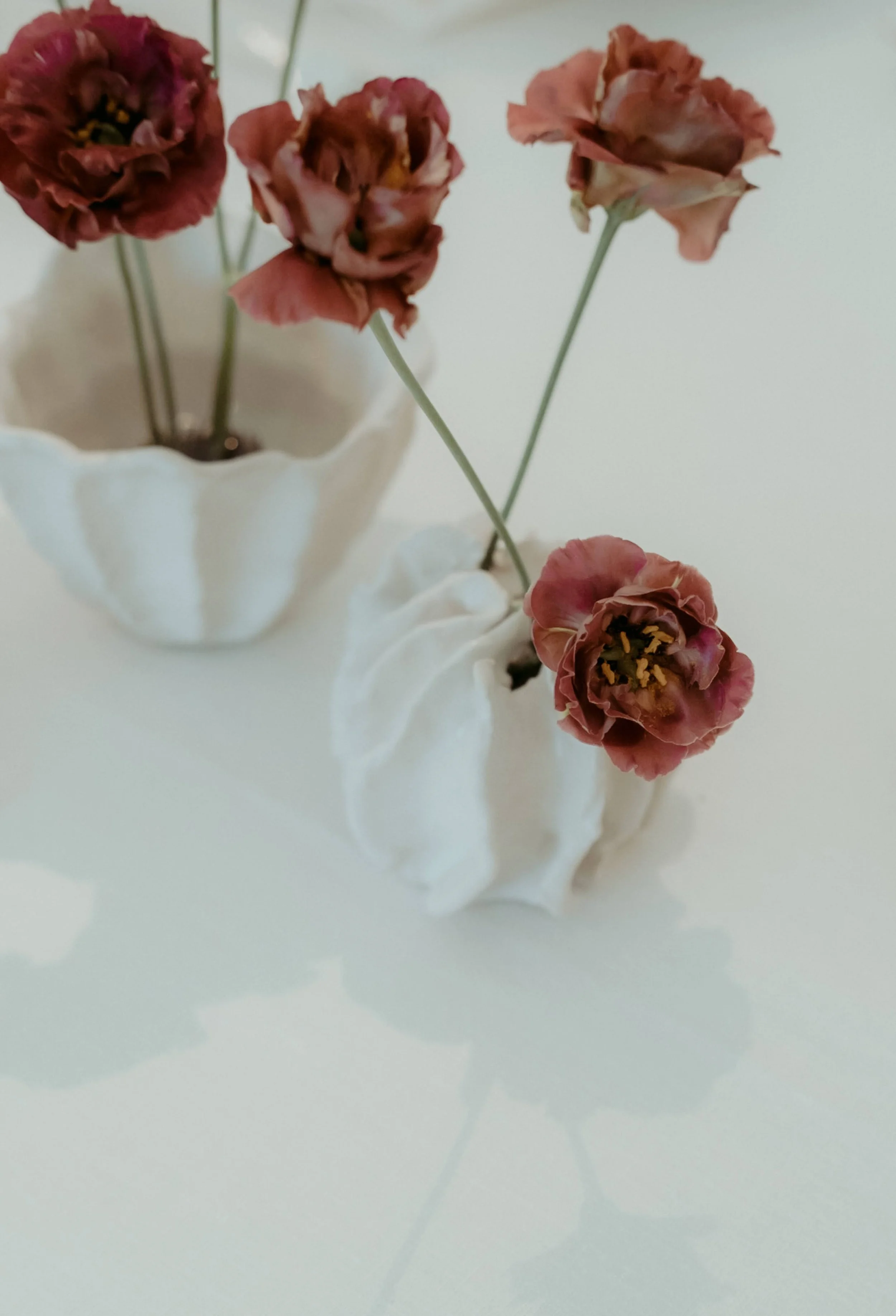  sculptural, curvy vases hold thin, delicate eustomas stems 