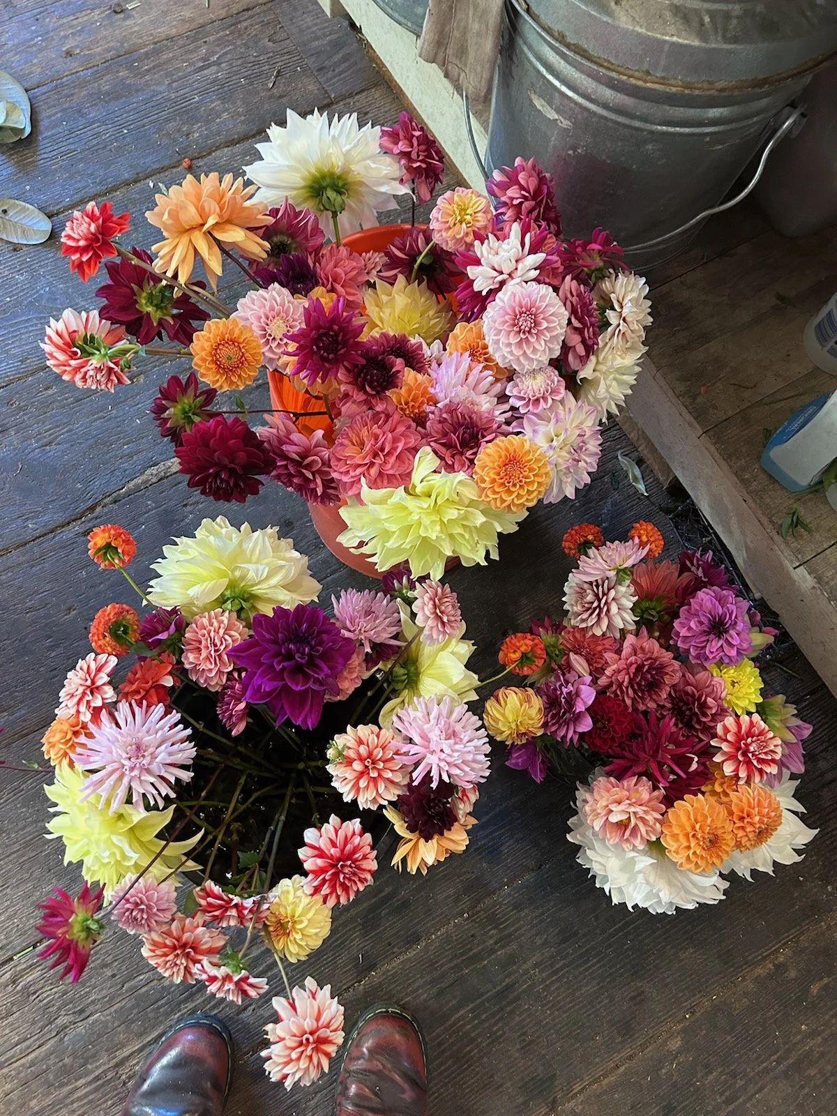 Several bags overflowing with textured and colorful blossoms 