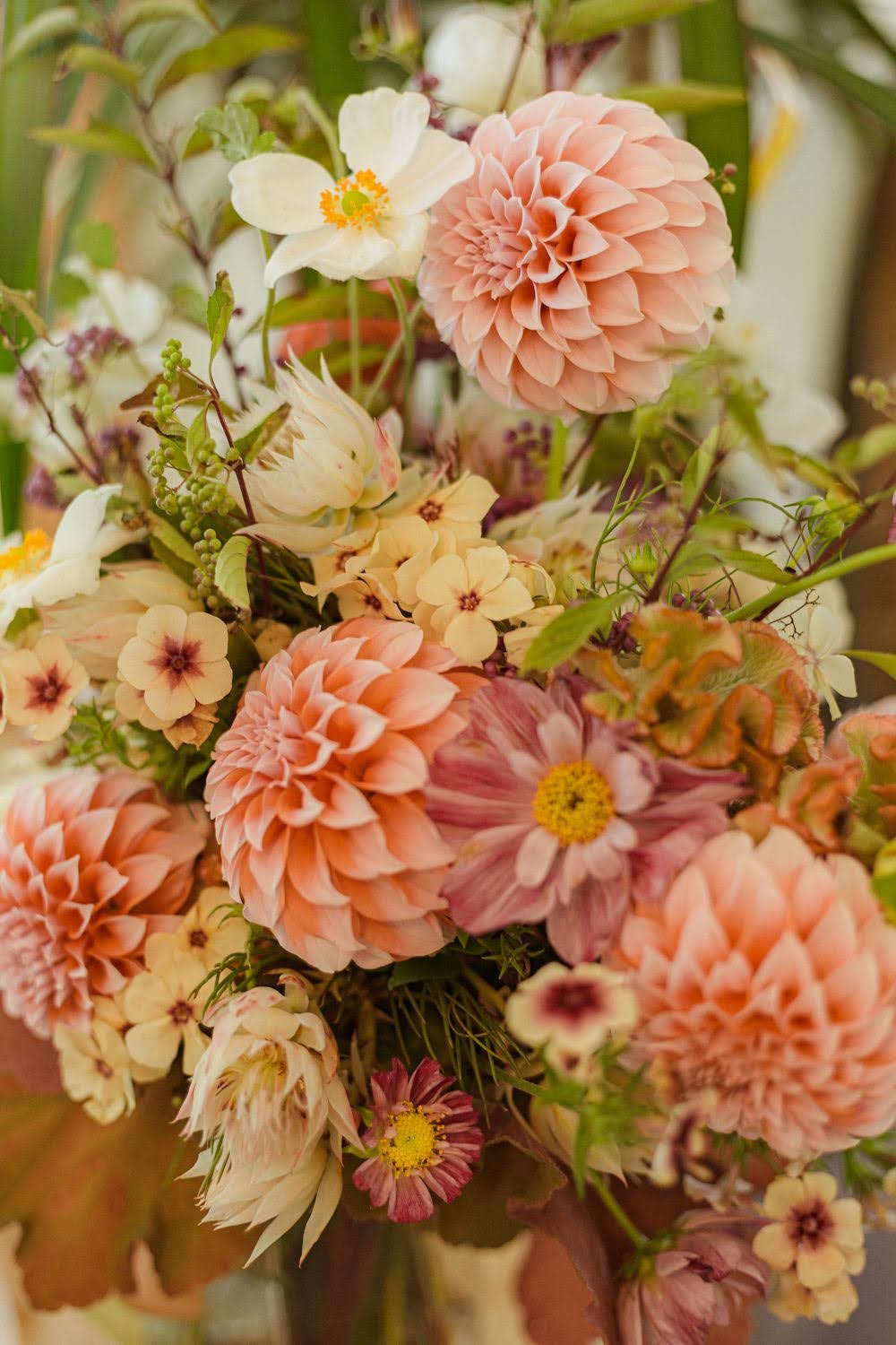  Lush assortments with elegant flowers in soft pink and dazzling orange 