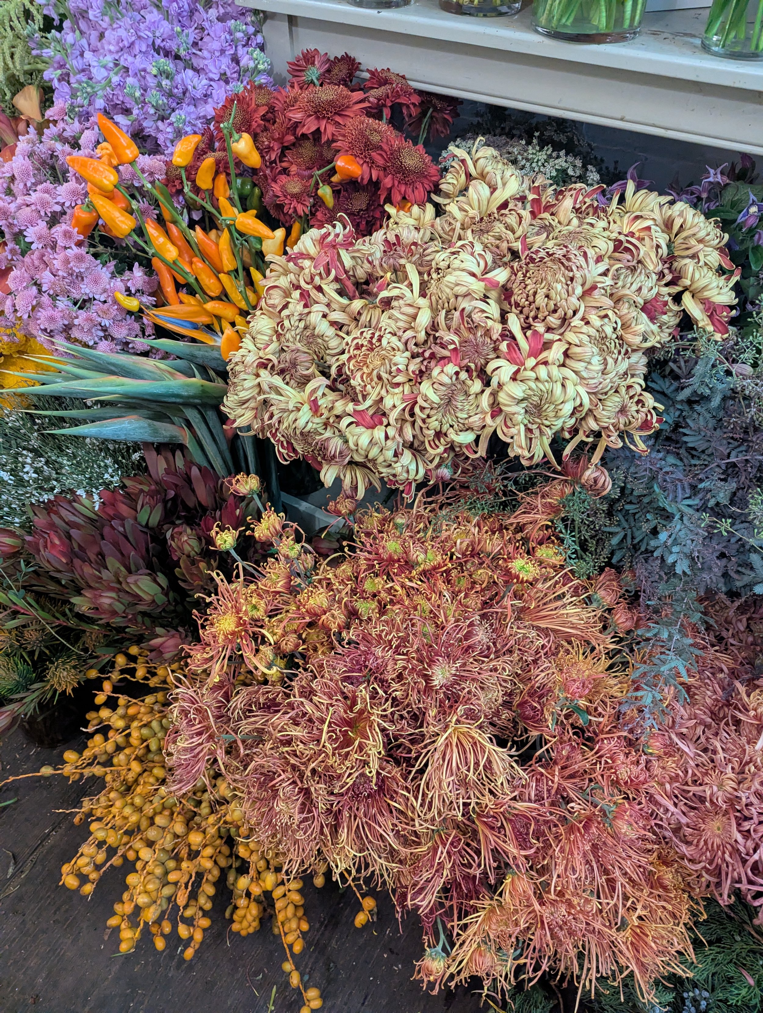 Collection of wispy, whimsical flowers in various colors and compositions  