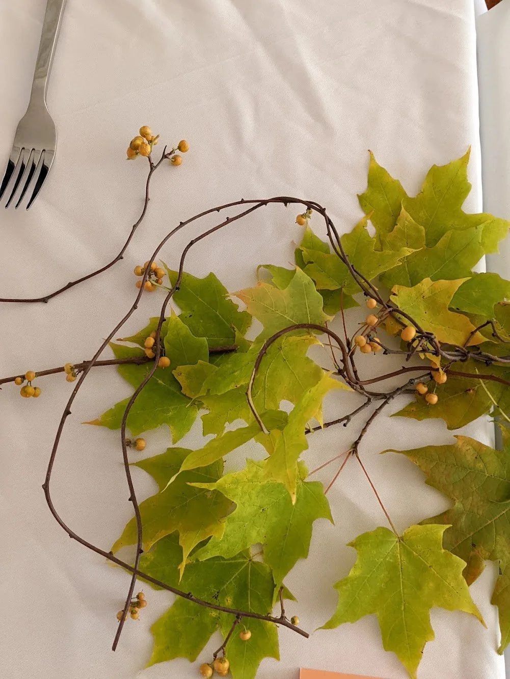  Charming green and yellow toned leaves next to yellow fruit growing along whimsical branch 