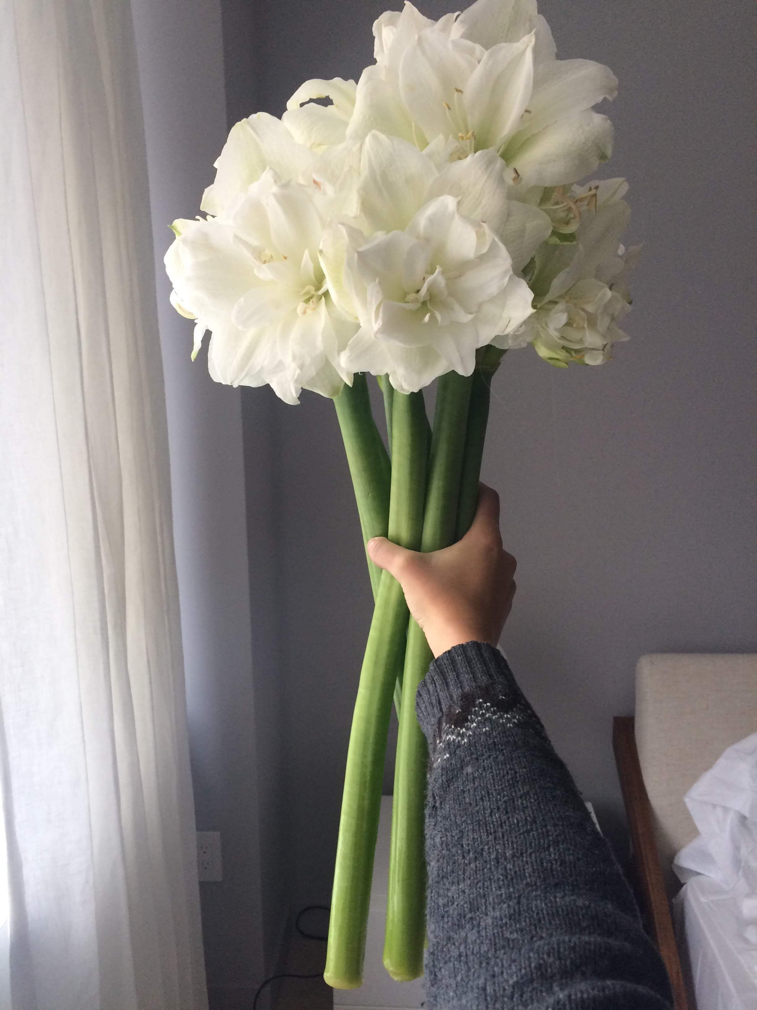  Handheld bouquet of pure white flowers making it loud statement piece 