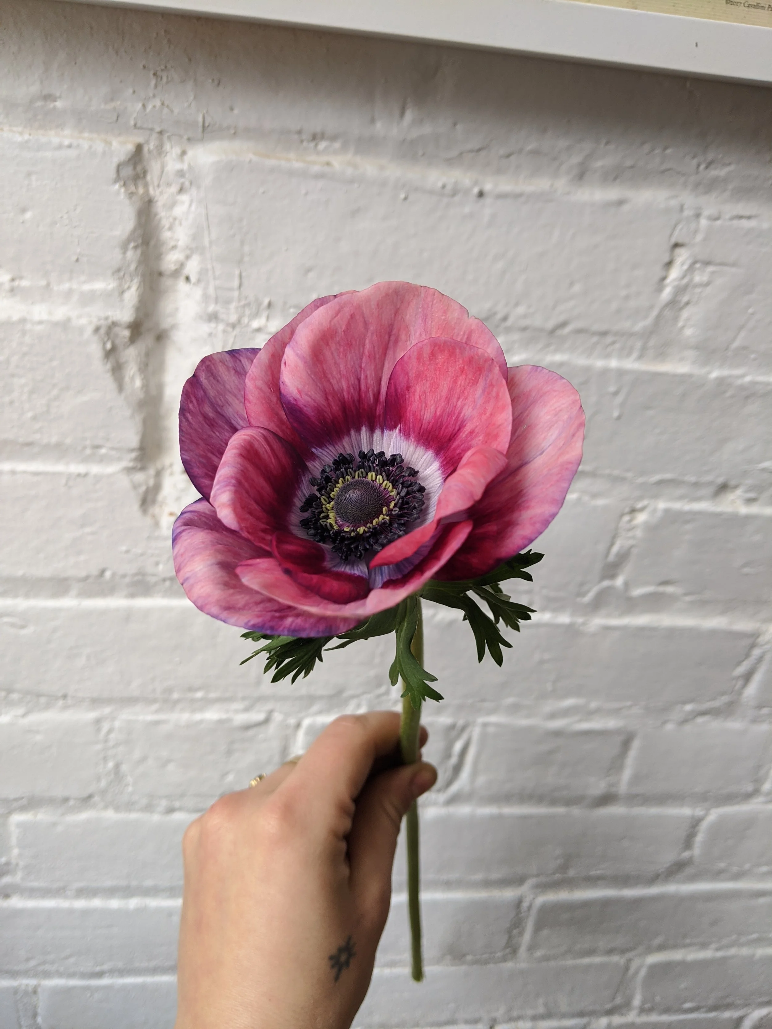  Lush handheld stem with painterly features and playful face 