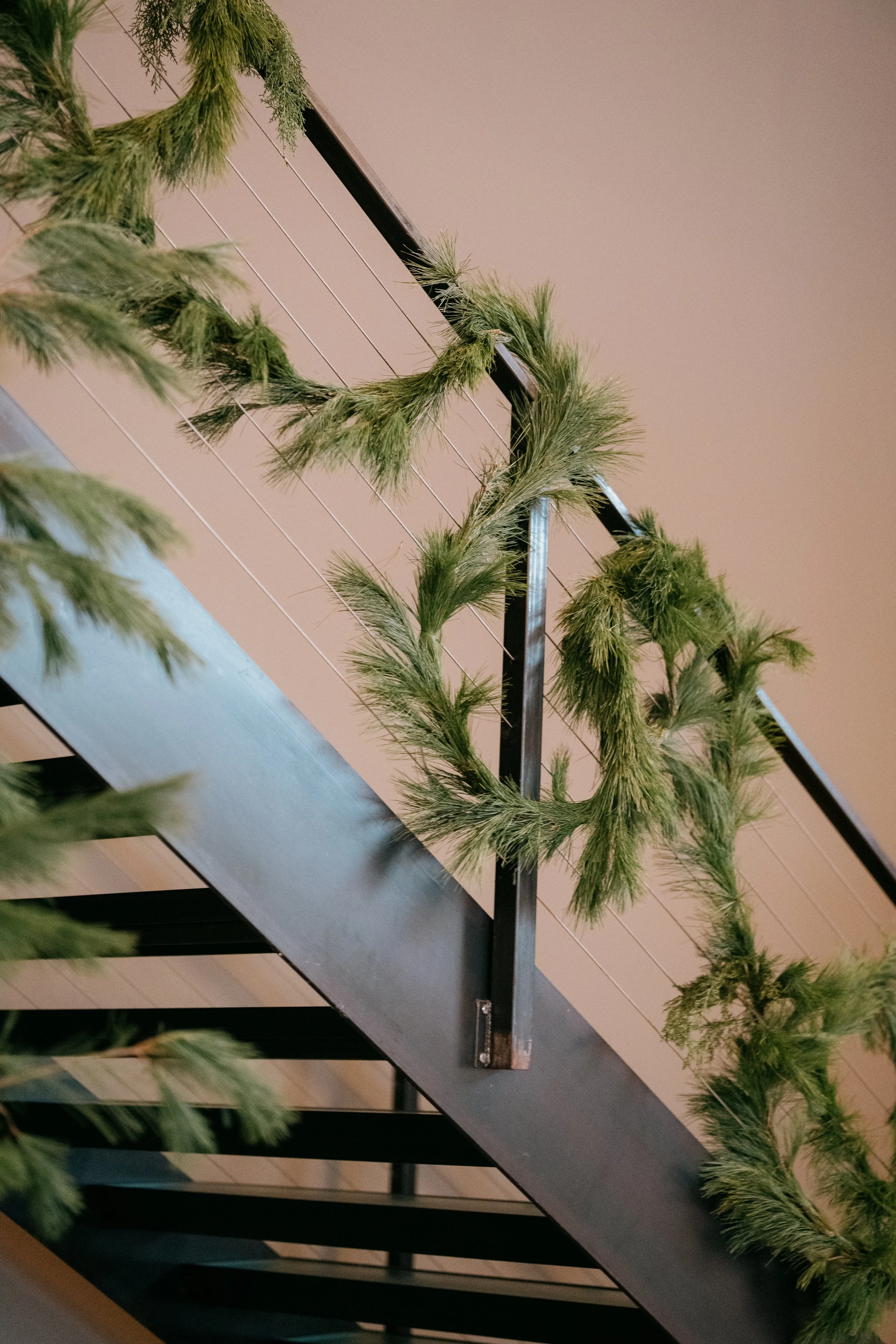  Playful winter evergreens with wispy foliage climbing up metal staircase  