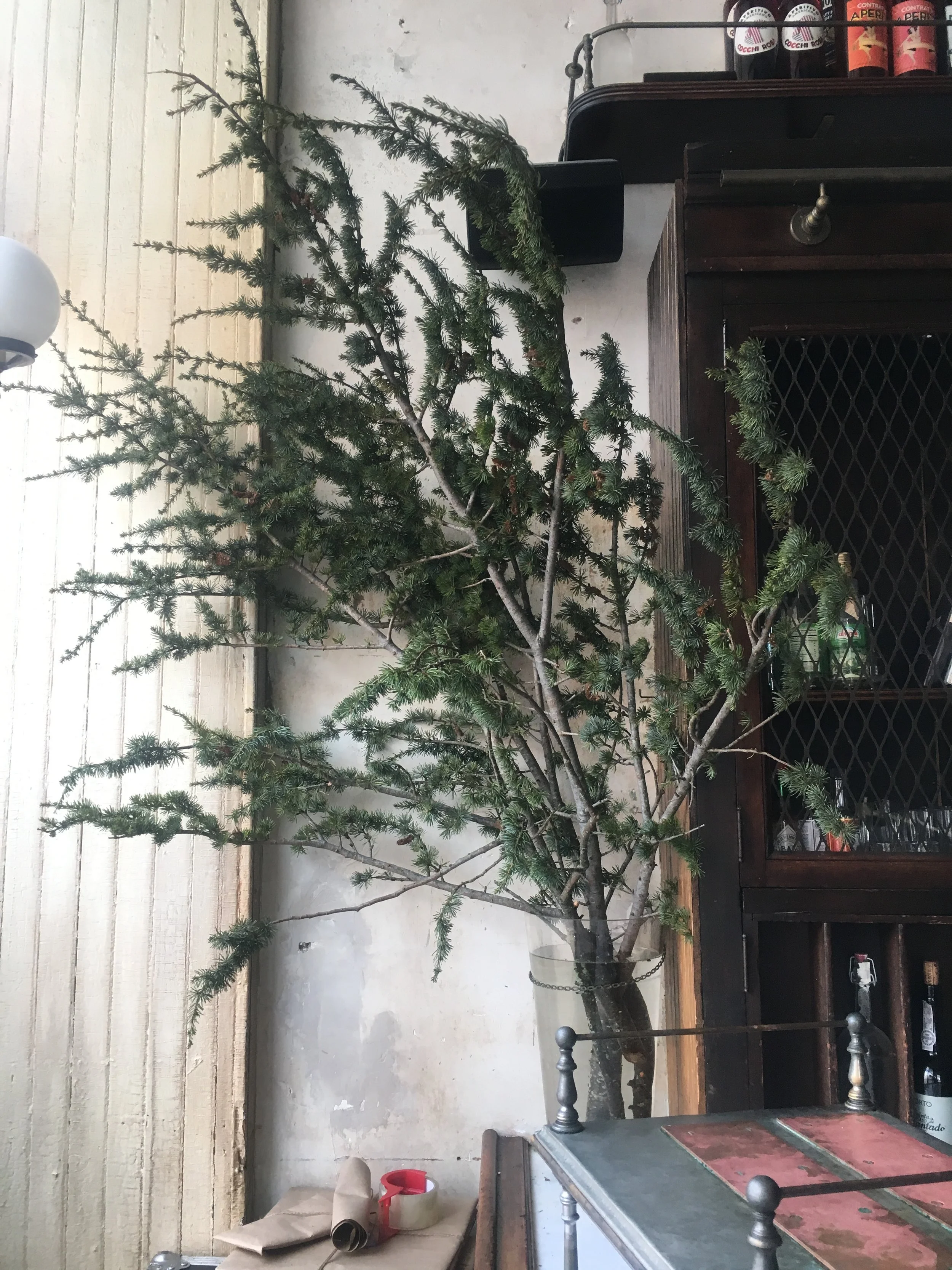  Large whimsical branches towering over vintage table with its delicate needles 