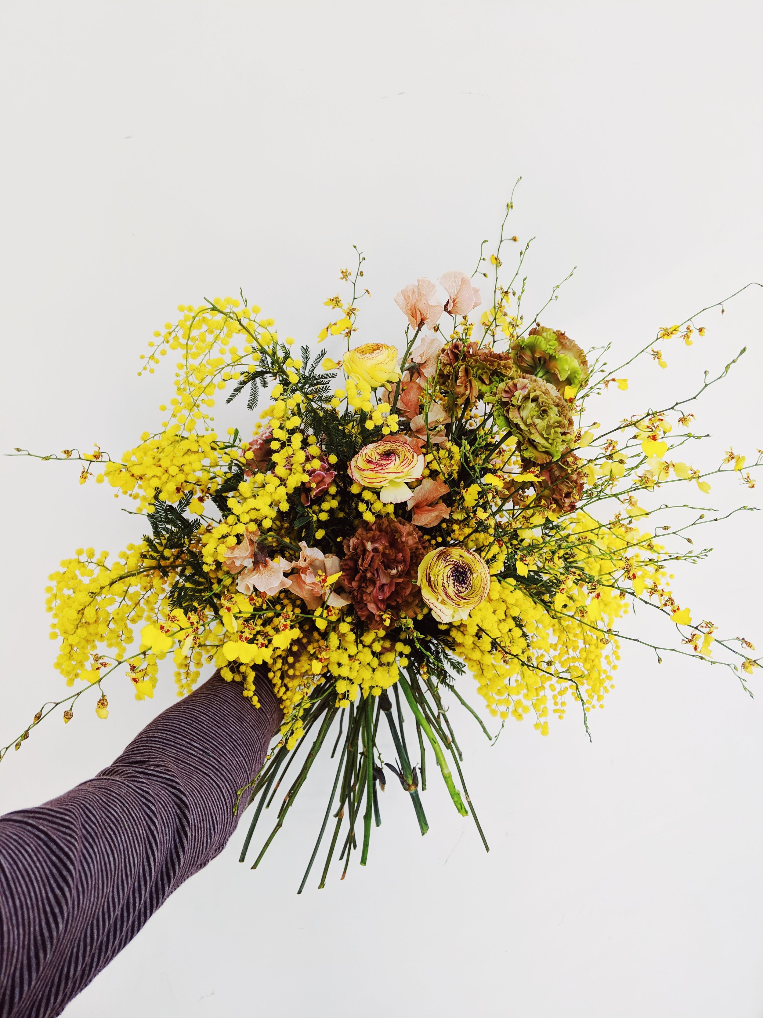 2019-02-19 05.50.12 1.jpg