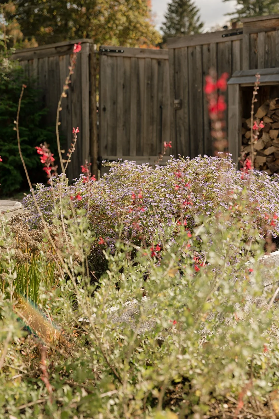 Wild garden plantings with soft florals and natural movement surrounding the ceremony space.