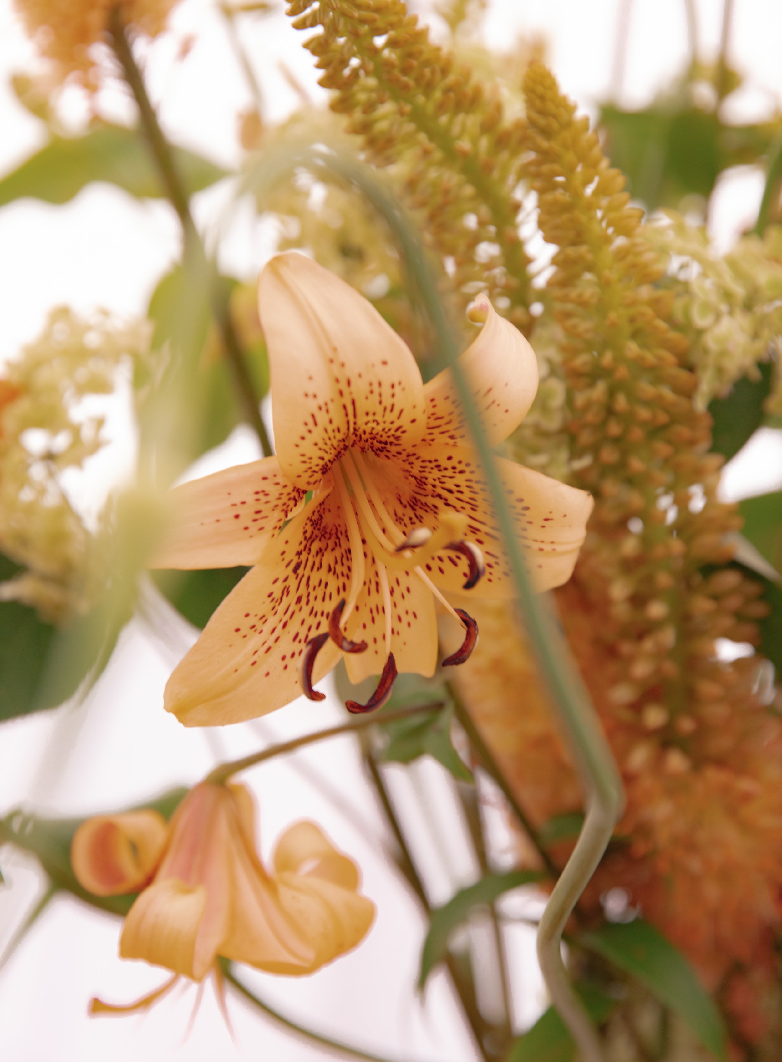 Close-up of peach lily and textured floral details in colorful summer arrangement