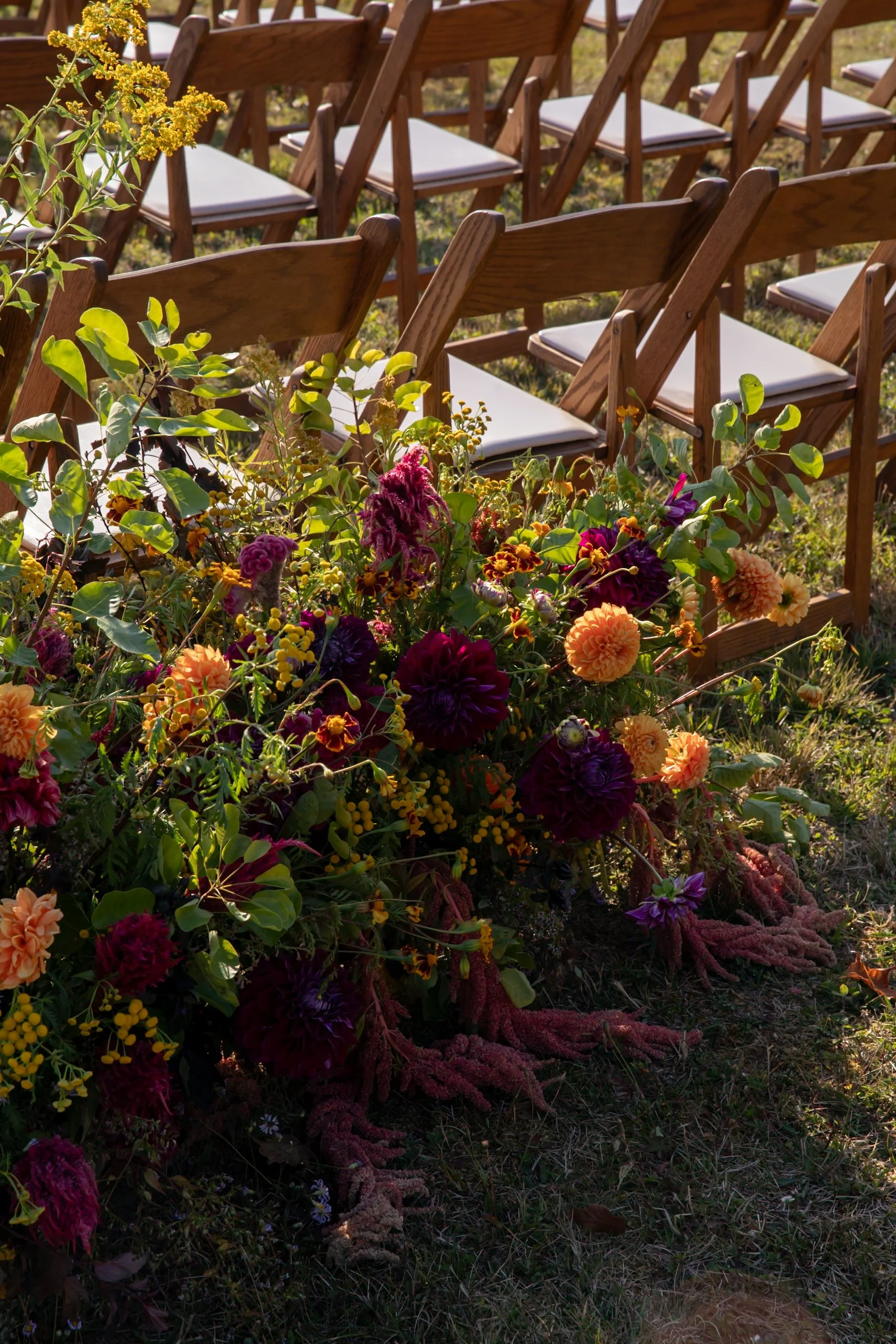Grounded ceremony florals featuring deep burgundy dahlias, marigolds, and autumn foliage beside wooden chairs