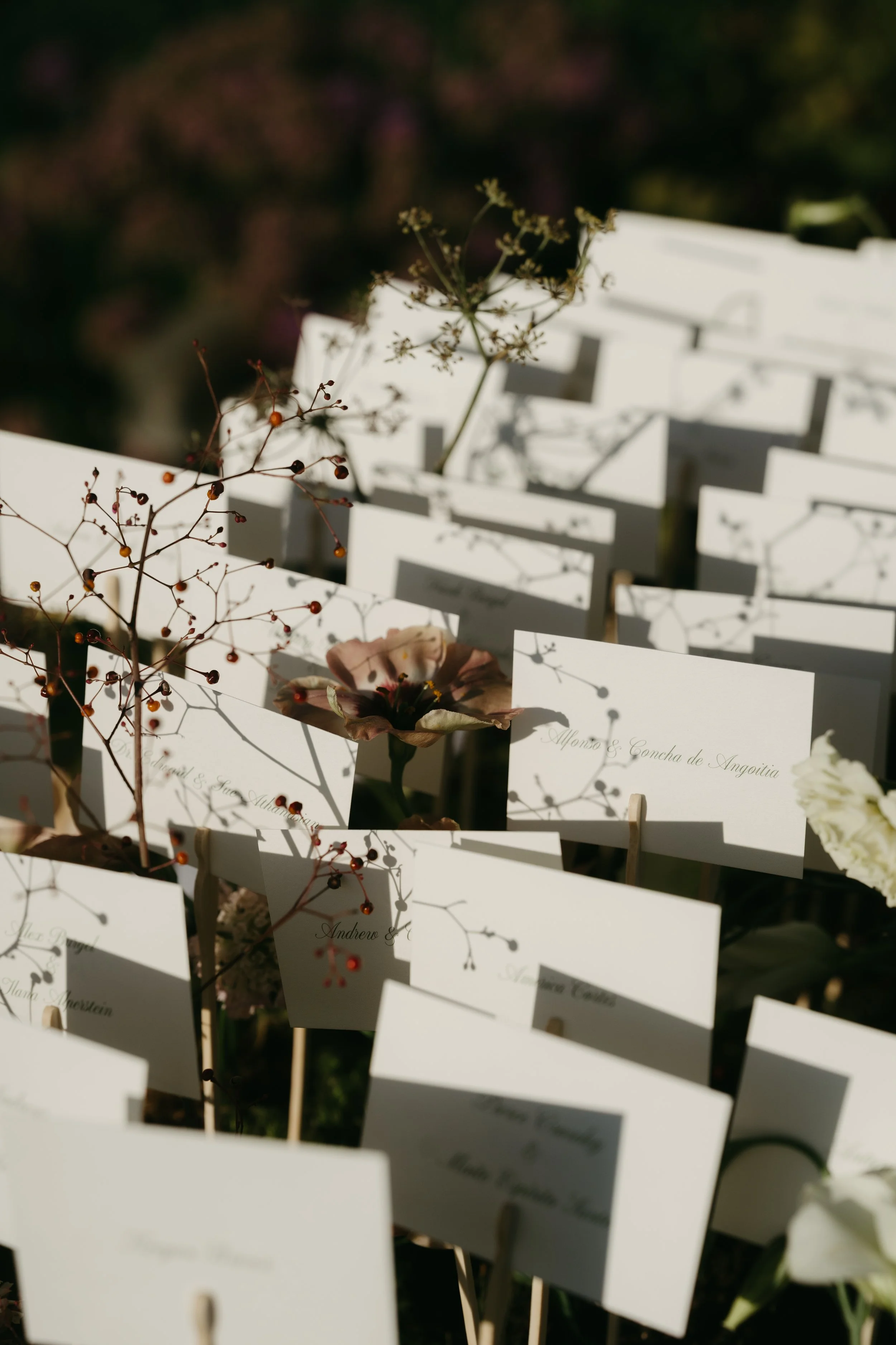 Escort cards displayed on moss with delicate floral accents