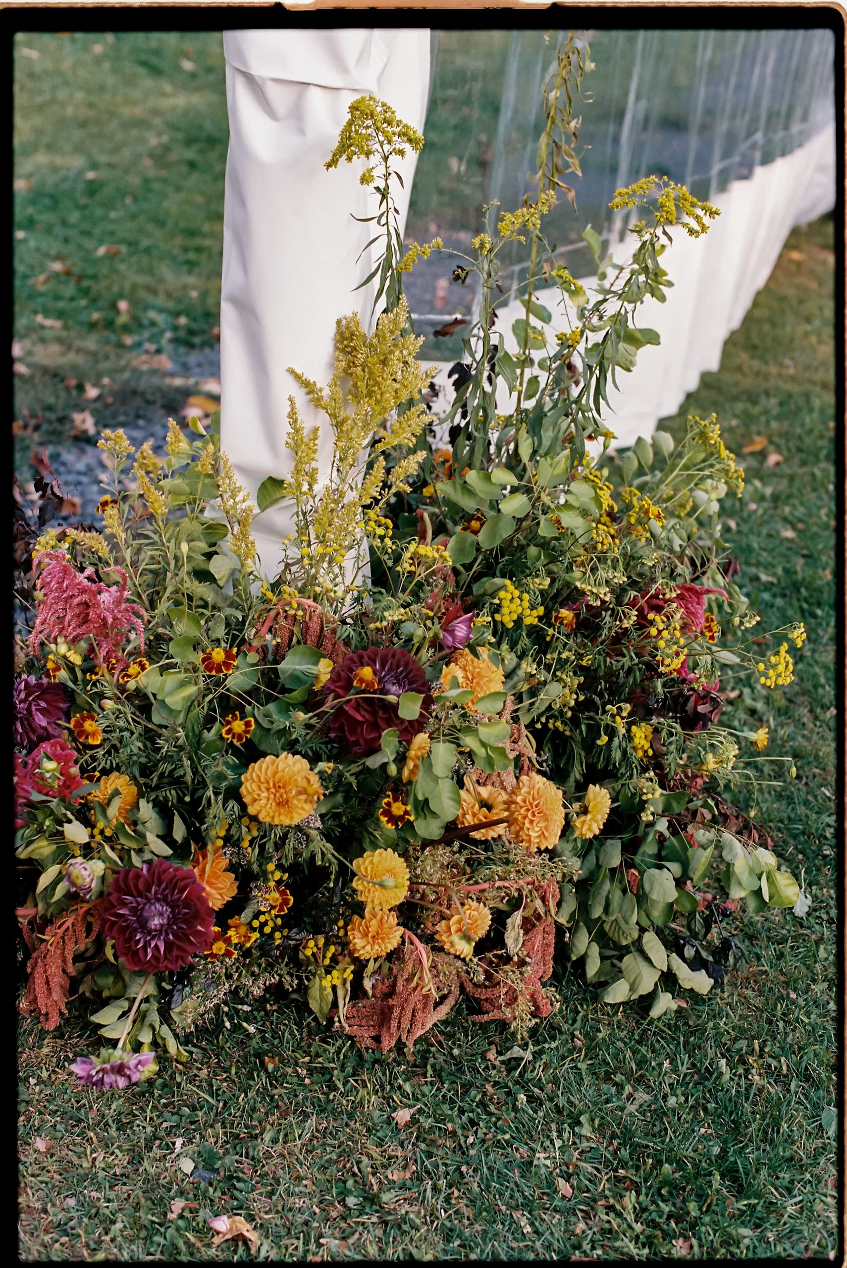 Low meadow-style floral arrangement with goldenrod, dahlias, and trailing greenery anchoring the tent exterior
