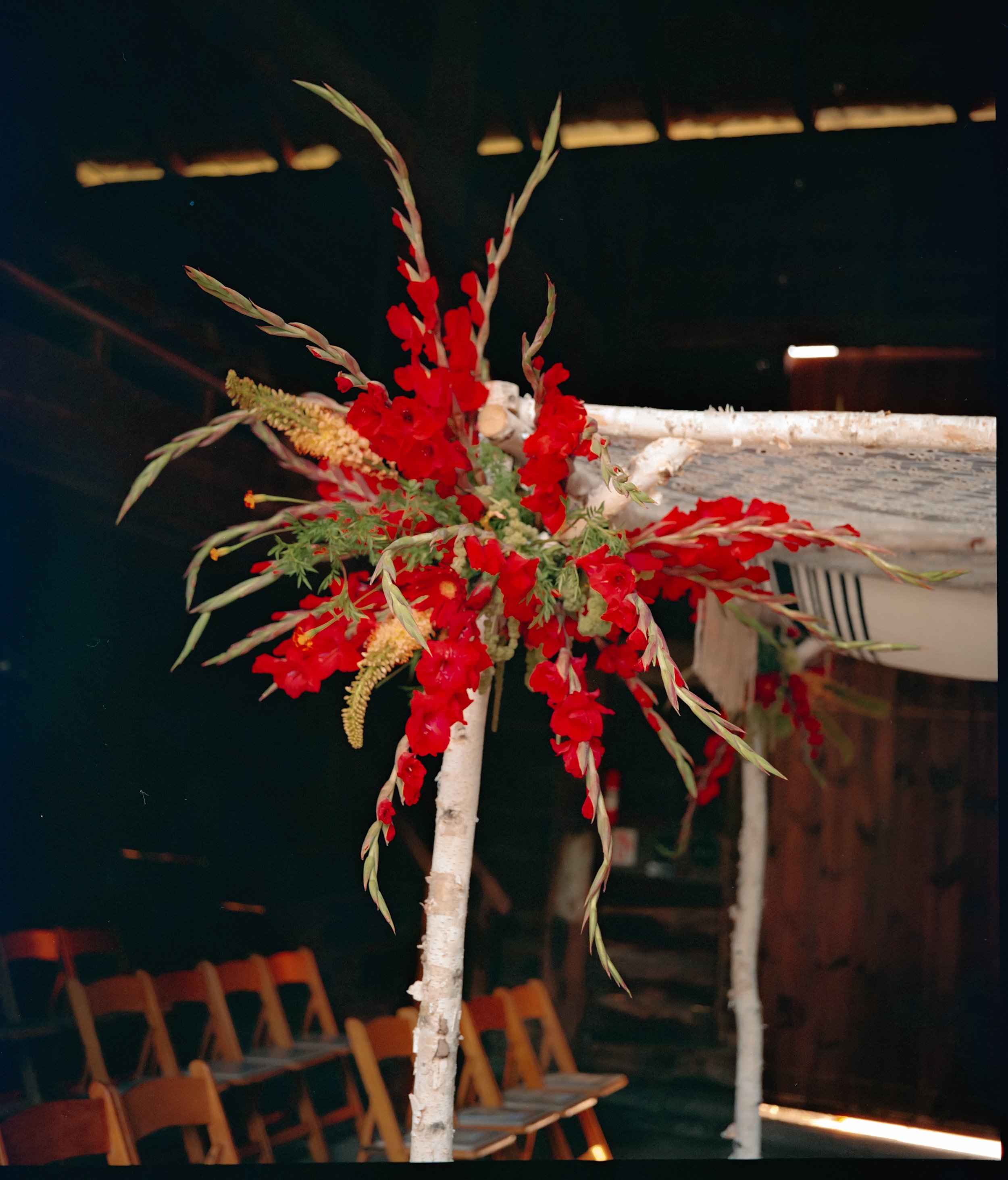 Close-up of bold ceremony florals with red gladiolus.