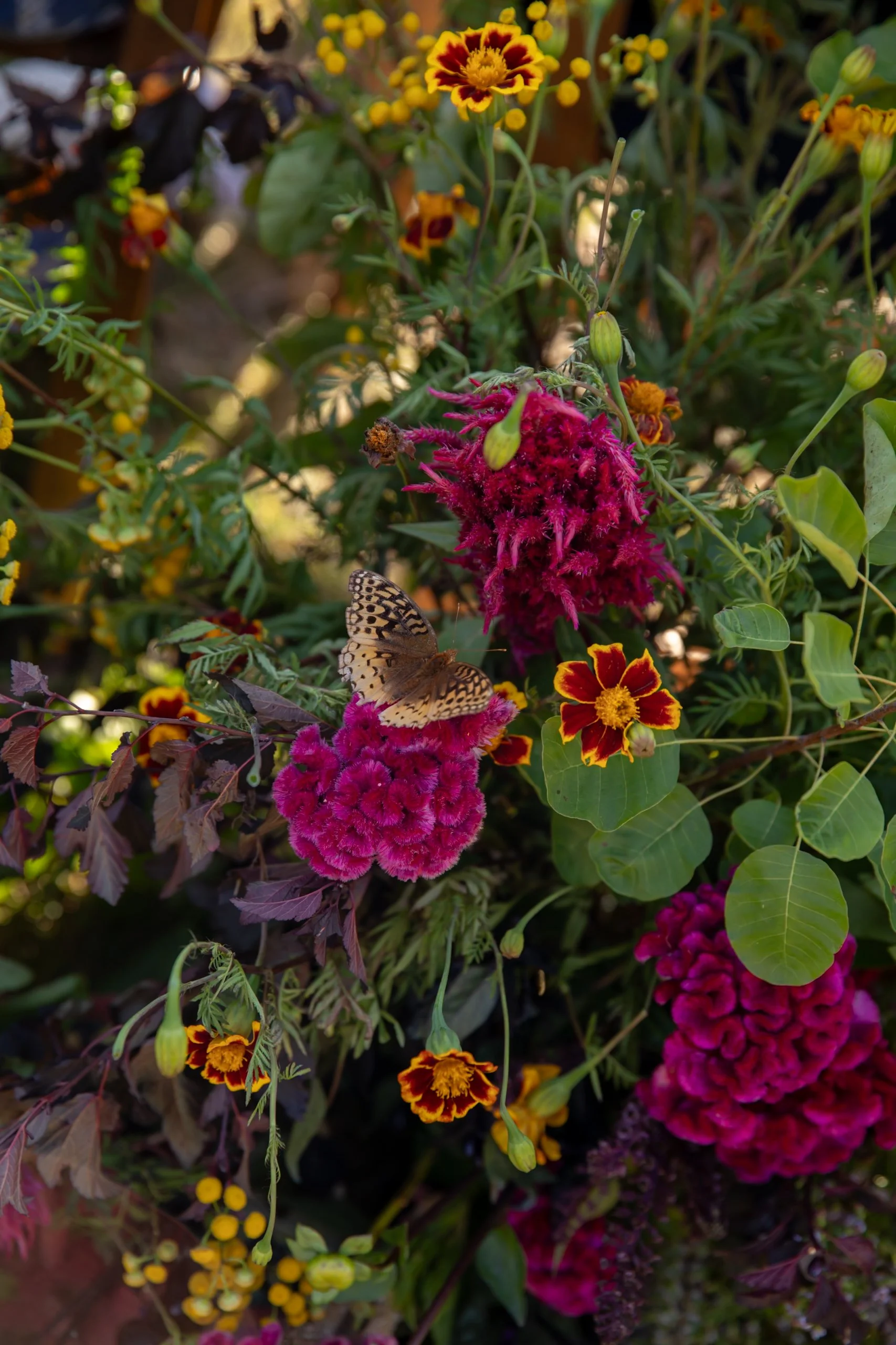 Close-up of seasonal ceremony flowers with velvety dahlias, marigolds, and trailing greenery in rich fall tones