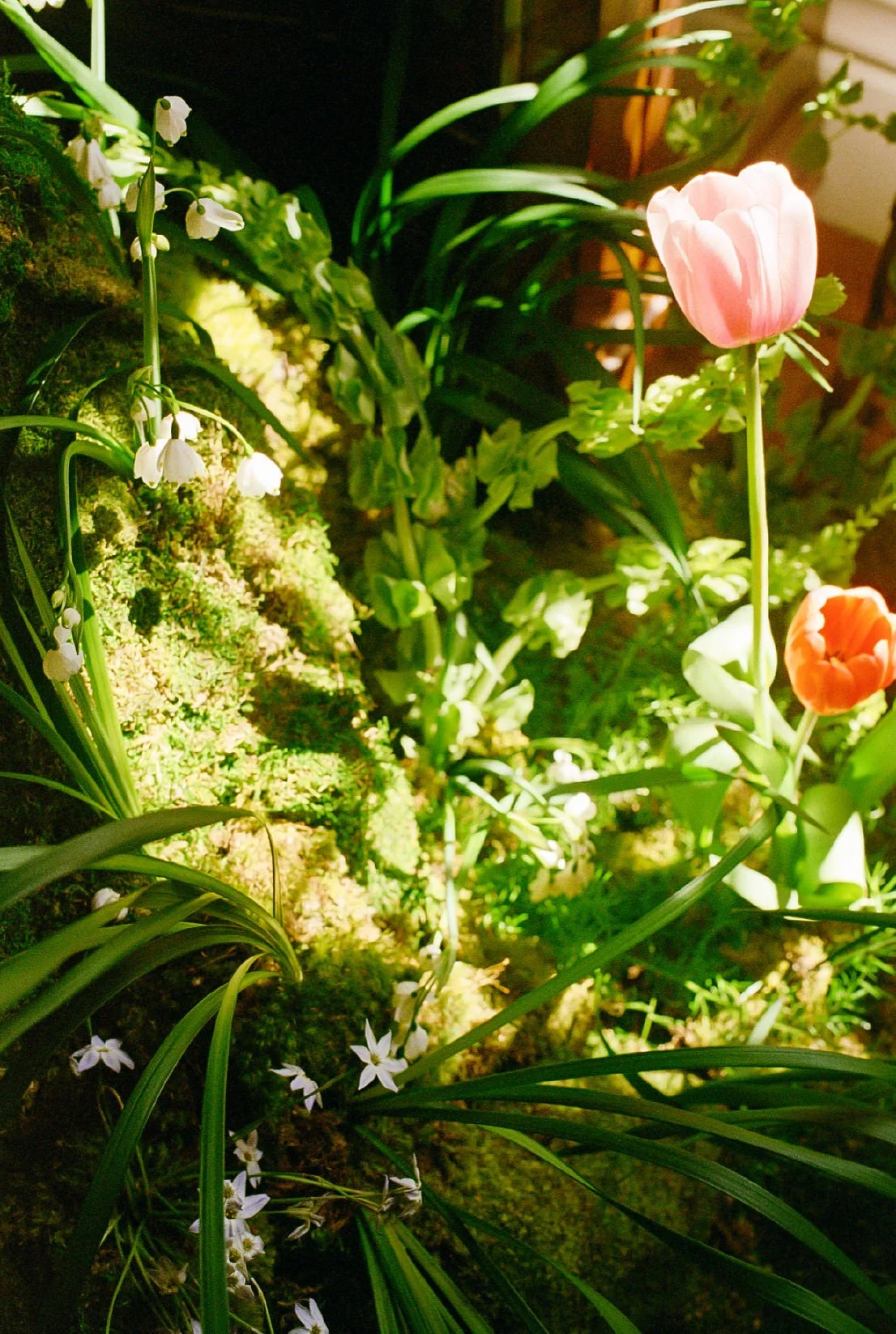 Forest floor inspired installation featuring lush moss, leucojum blooms and colorful tulips.