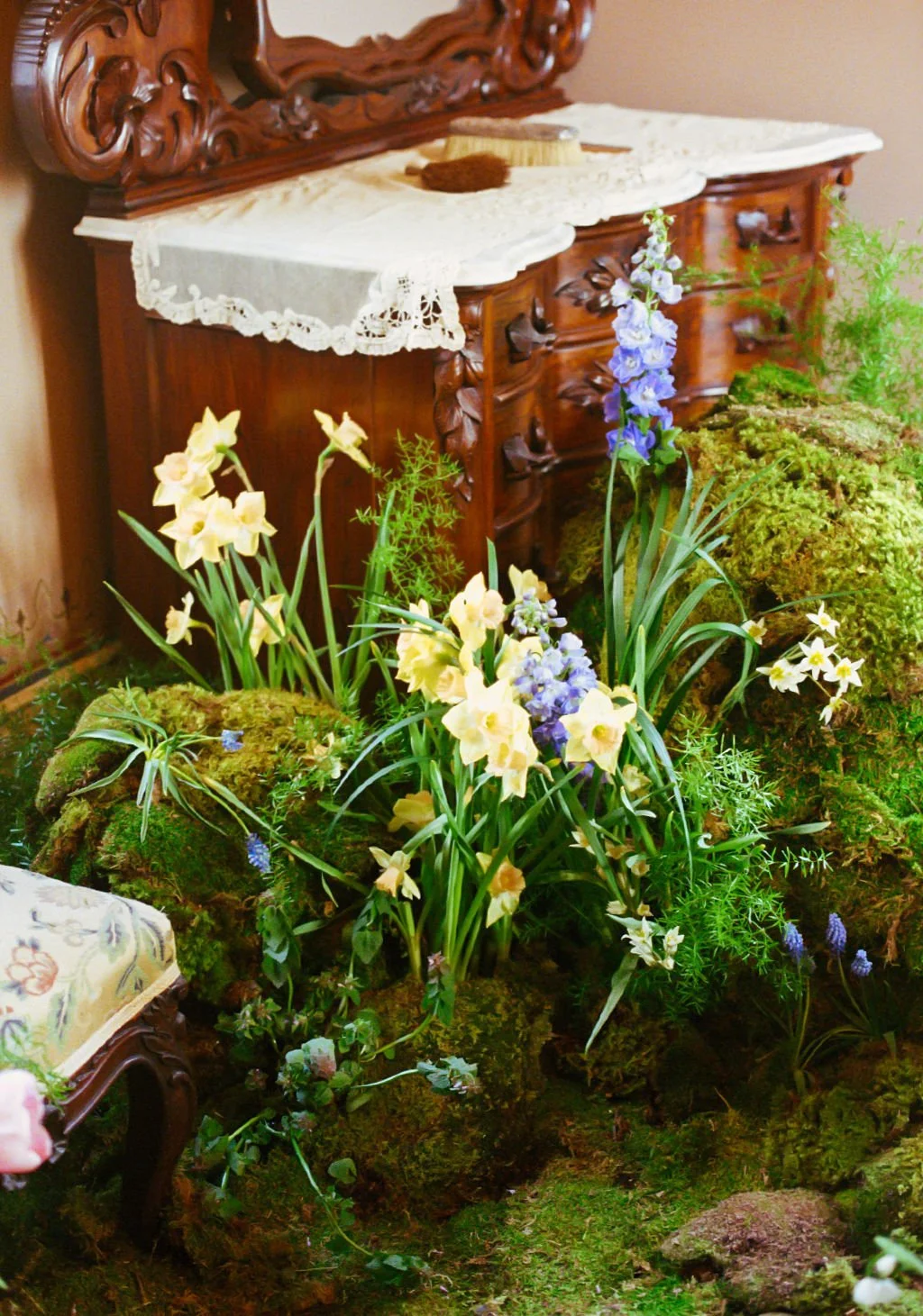 Fairytale like flowers, in full blooms growing out of moss flowers next to vintage wooden dressers