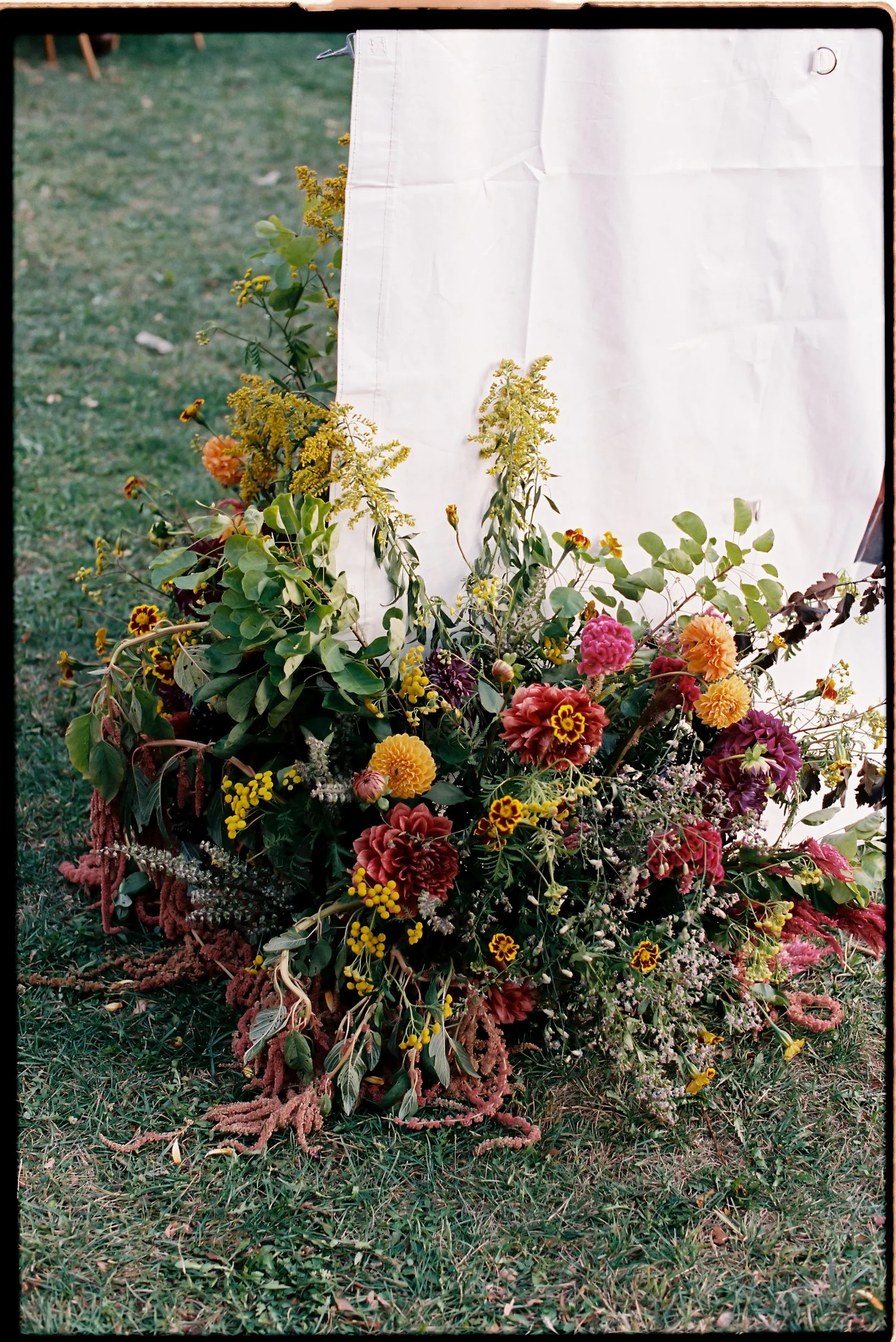 Grounded floral installation featuring late-season blooms and foliage arranged at the base of the tent entrance