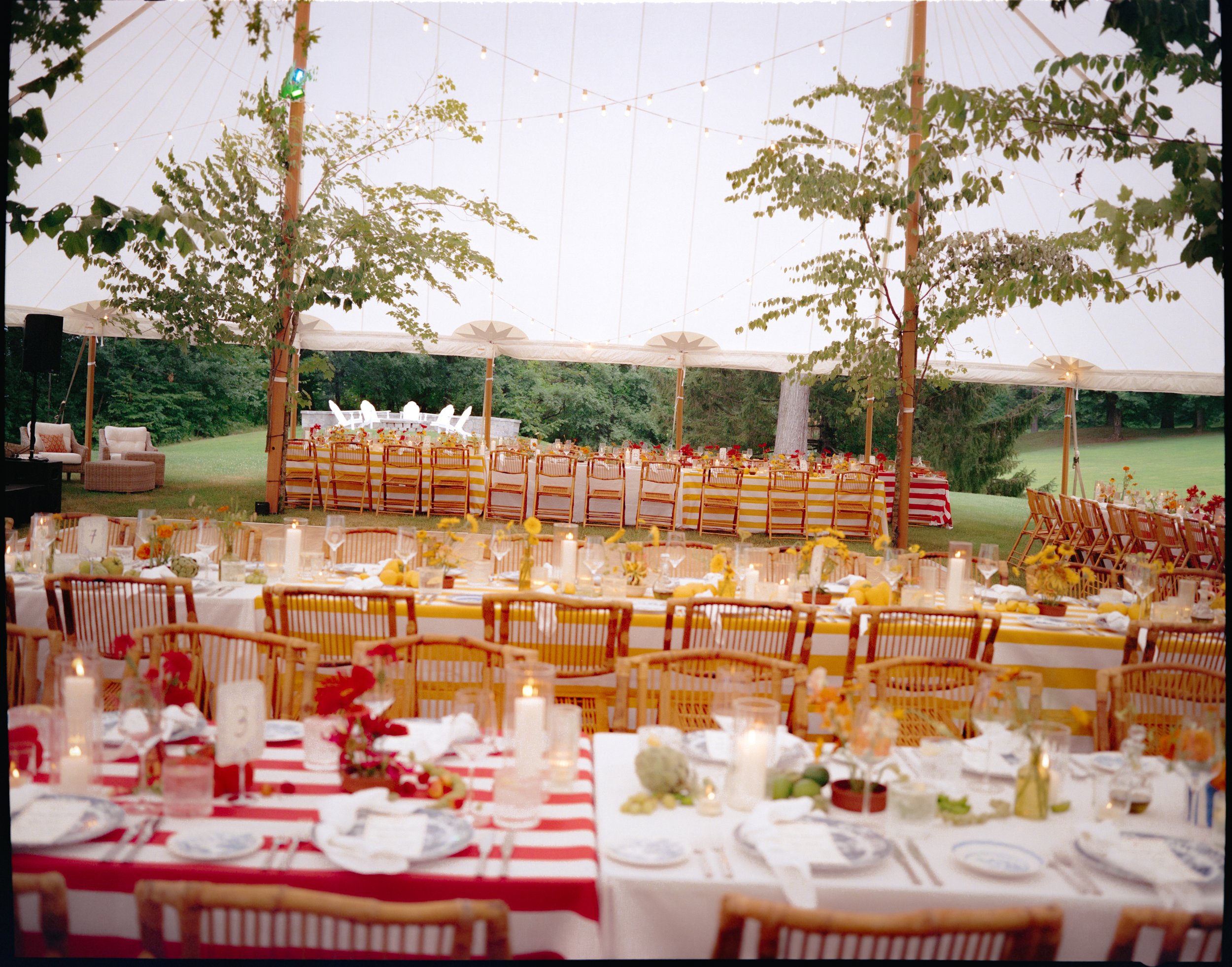 Wide view of long reception tables beneath sailcloth tent with striped linens and garden-style flowers with tree installation in the background