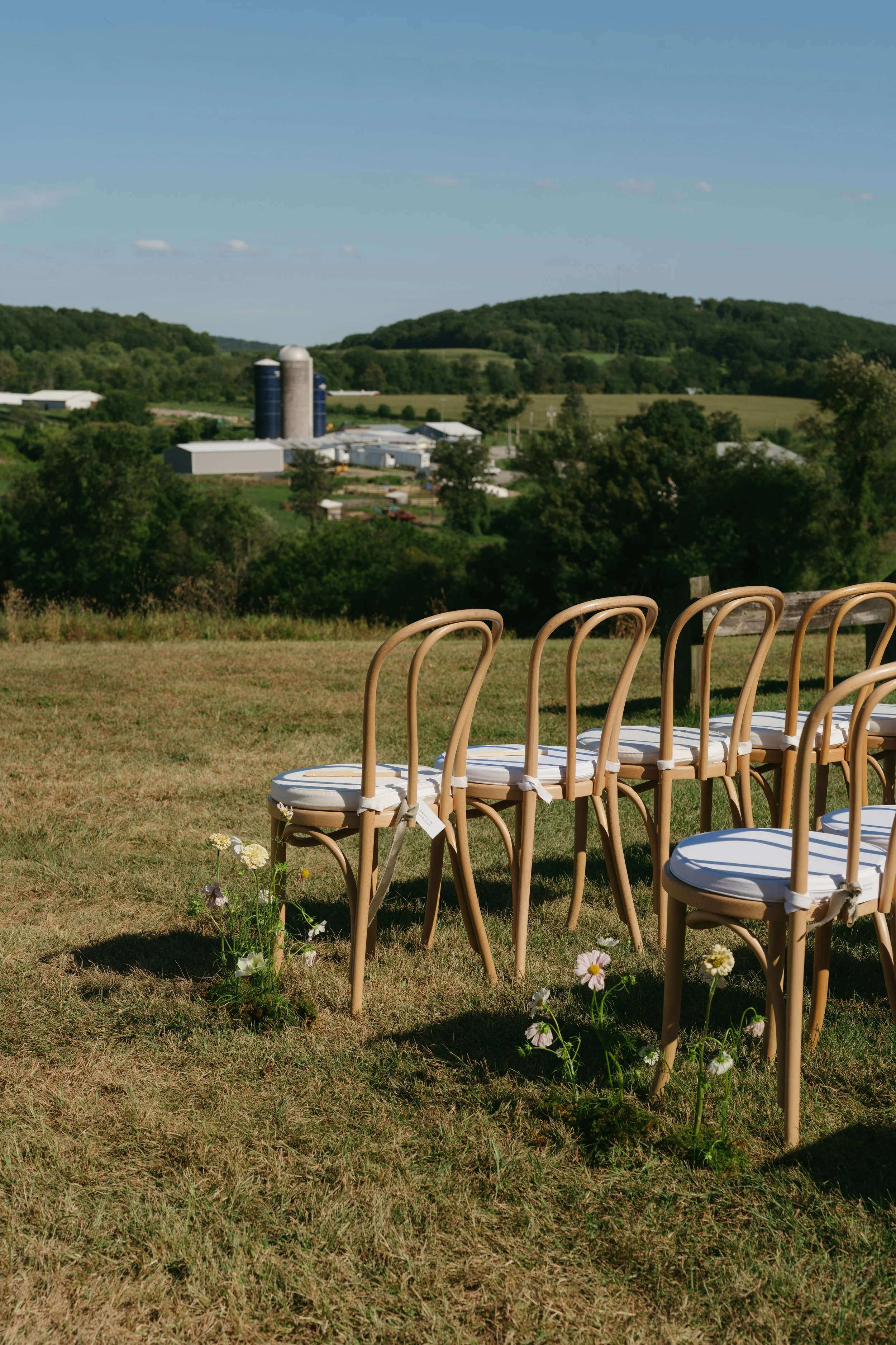 Meadow-style ceremony florals lining aisle beside wooden chairs in open field