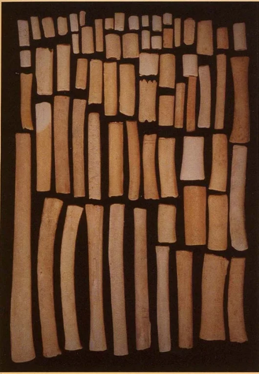 Bone Tools