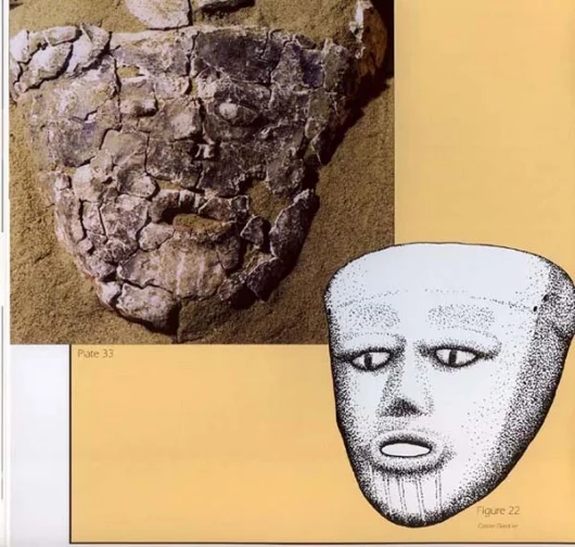 Plaster Mask