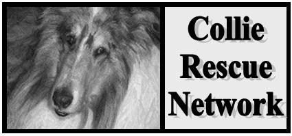 Collie Rescue Network