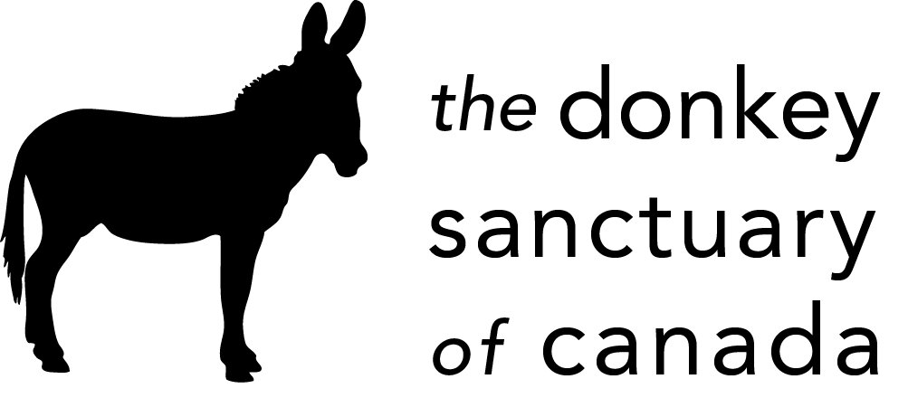 The Donkey Sanctuary of Canada