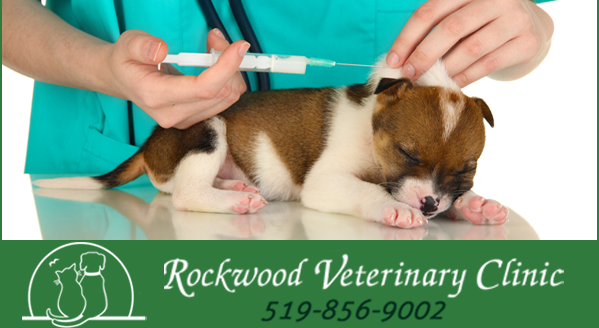 Rockwood Veterinary Clinic