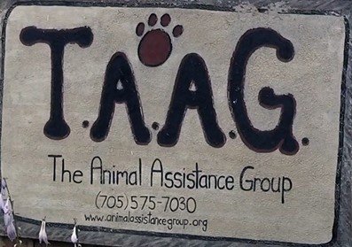 THE ANIMAL ASSISTANCE GROUP  (TAAG)