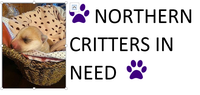 Northern Critters in Need