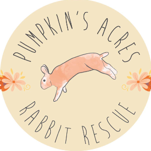 Pumpkin's Acres Rabbit Rescue