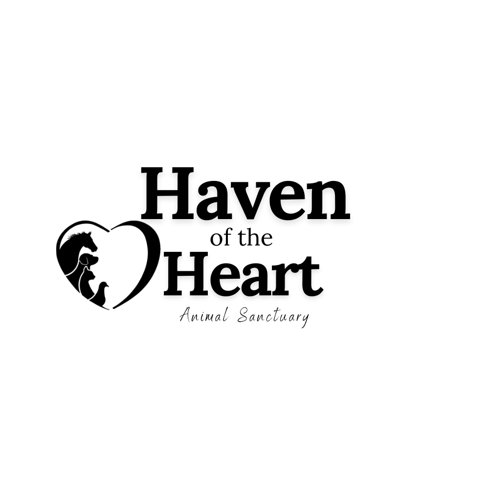 Haven of the Heart Animal Sanctuary