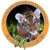Bear Creek Exotic Wildlife Sanctuary