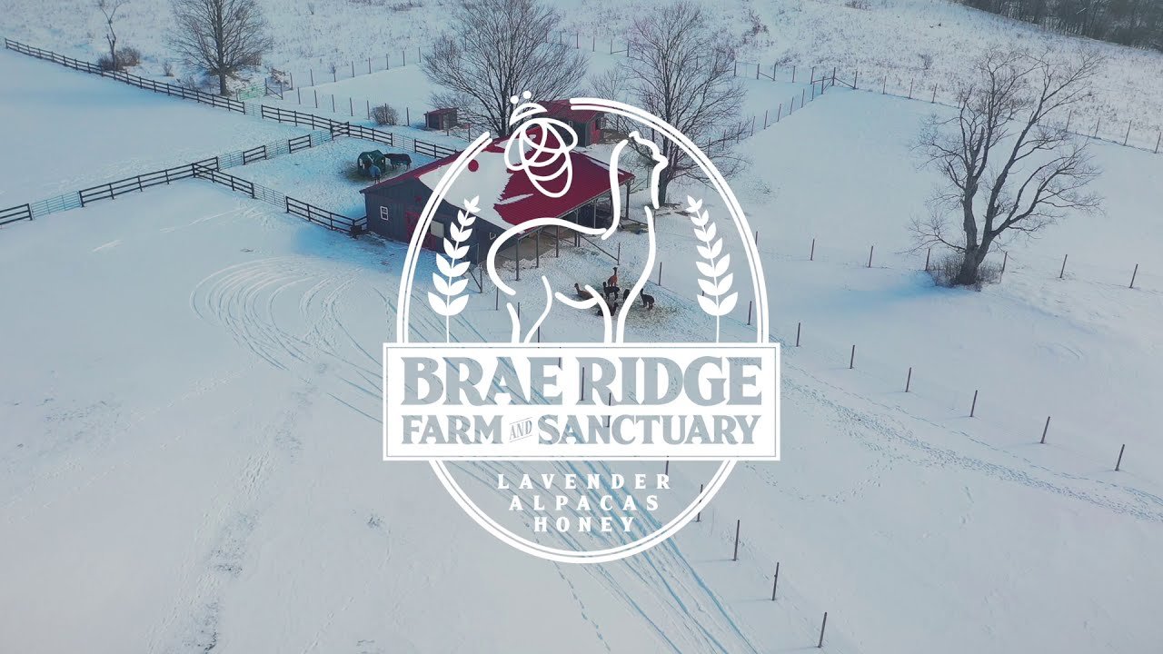 Brae Ridge Farm