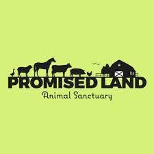 Promised Land Sanctuary