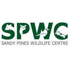 Sandy Pines Wildlife Centre