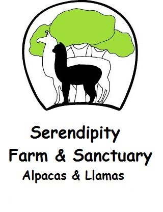 Serendipity Farm and Sanctuary