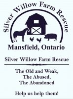Silver Willow Farm Rescue