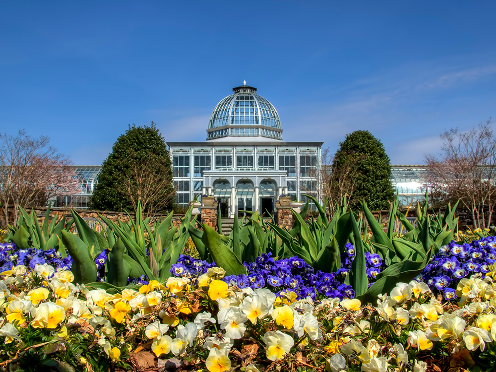 Lewis-Ginter-Botanical-Garden.jpg